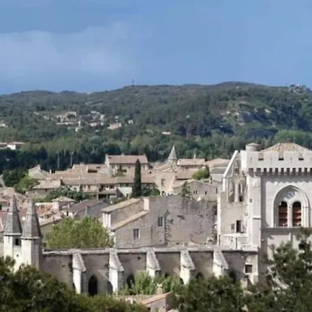 La Cigale - Vieux Village - Charmante Maisonnette Climatisee Avec Jardin * Villeneuve-les-Avignon